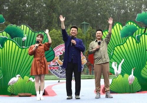 圣诞黑土爆料视频大全最新,揭秘娱乐圈幕后真相  第3张