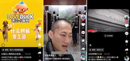 重庆遇见小黄鸭最新爆料,最新爆料揭秘神秘之旅  第2张