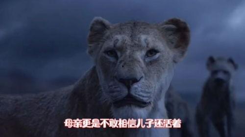 最新爆料的辛巴视频大全,揭秘网红背后的真实生活 第3张 最新爆料的辛巴视频大全,揭秘网红背后的真实生活 第3张