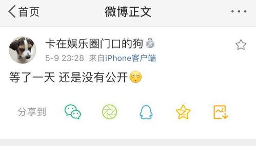 2023吃瓜最新爆料,热点事件幕后真相全解析  第3张