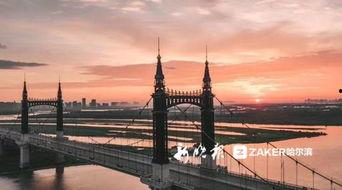 哈尔滨大桥最新爆料视频,揭秘工程进展与神秘细节  第2张