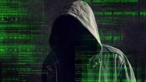 黑客最新爆料电话是多少,黑客最新爆料，神秘电话号码引发网络热议！  第3张