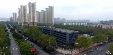 洛阳新区最新爆料,揭秘未来城市新地标  第2张