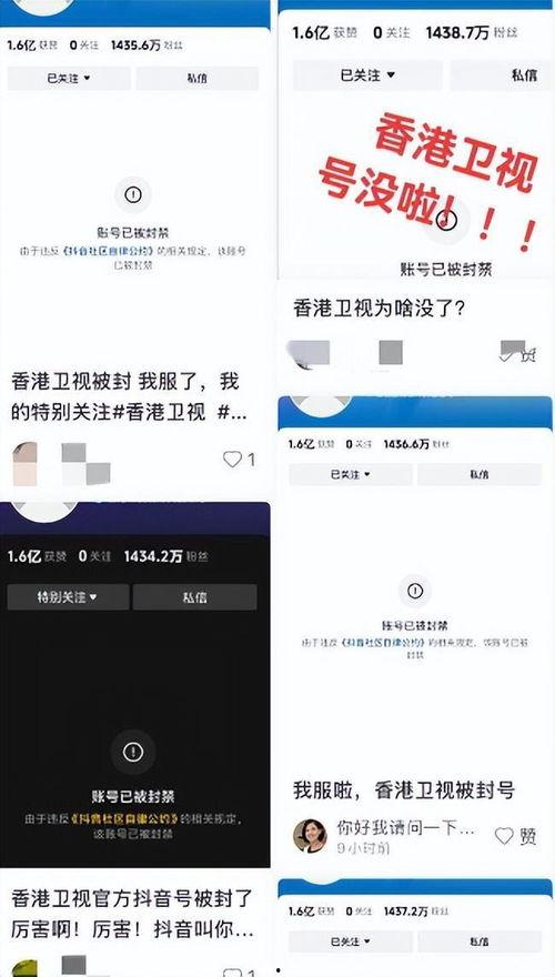 去香港卫视看最新爆料,最新爆料事件深度解析 第3张 去香港卫视看最新爆料,最新爆料事件深度解析 第3张