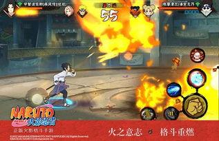 忍者村最新爆料视频大全,揭秘神秘忍者村全貌与独家视频大放送  第2张