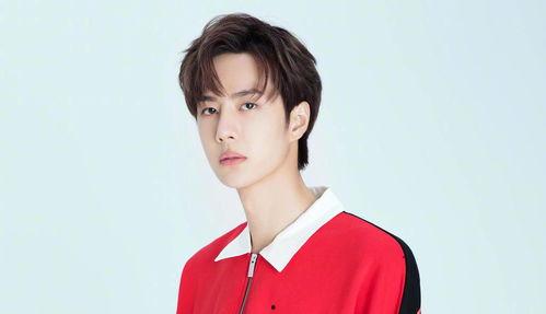 任嘉伦邓伦最新爆料,揭秘演艺圈幕后故事与心路历程 第3张 任嘉伦邓伦最新爆料,揭秘演艺圈幕后故事与心路历程 第3张