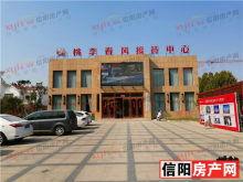 信阳桃李春风最新爆料,揭秘项目最新进展与亮点 第3张 信阳桃李春风最新爆料,揭秘项目最新进展与亮点 第3张