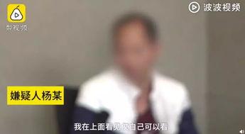 最新巡查员爆料视频大全,揭秘现场实况，一探究竟  第2张