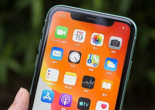 苹果se3大概多少钱最新爆料,价格揭晓，性价比再升级！  第3张