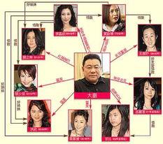 刘銮雄最新爆料,揭秘豪门恩怨背后的惊人真相 第3张 刘銮雄最新爆料,揭秘豪门恩怨背后的惊人真相 第3张