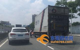 寮步爆料电话大全最新,一网打尽便民服务热线  第3张