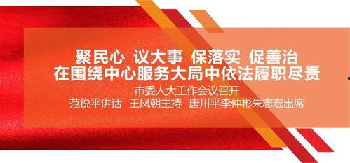 大蓉要努力最新爆料,揭秘努力背后的故事与挑战  第2张