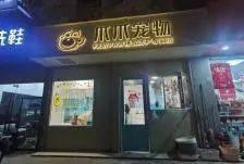 温州宠物店爆料事件最新,揭露行业黑幕，宠物权益亟待关注  第2张