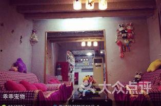 温州宠物店爆料事件最新,揭露行业黑幕，宠物权益亟待关注  第3张